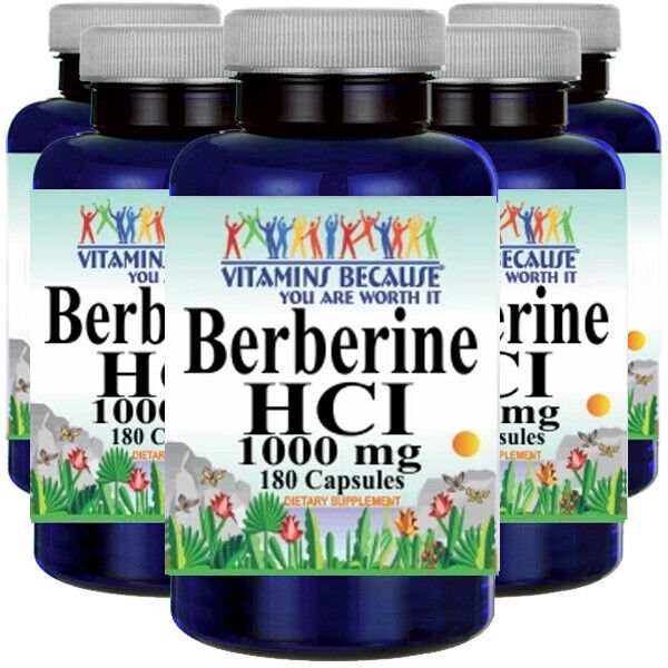 Berberine HCI 1000mg 5X180caps (Berberis Aristata) by Vitamins Because