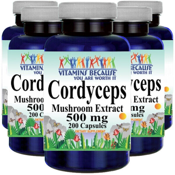 Cordyceps Extract 500mg  - 5X200 capsules  by Vitamins Because